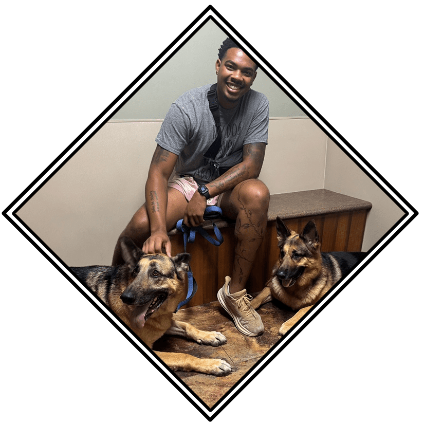 happy male sitting and petting german shepherds lying on floor